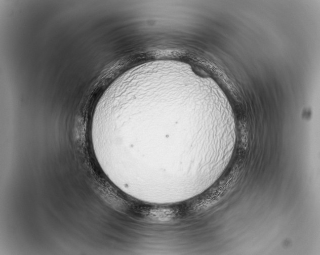 X0000103440357200810031418