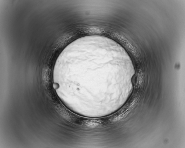 X0000103440359200810031418