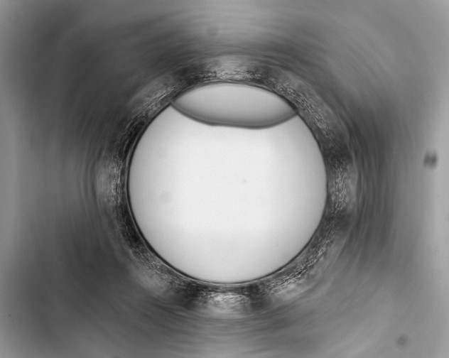 X0000103440360200810031418