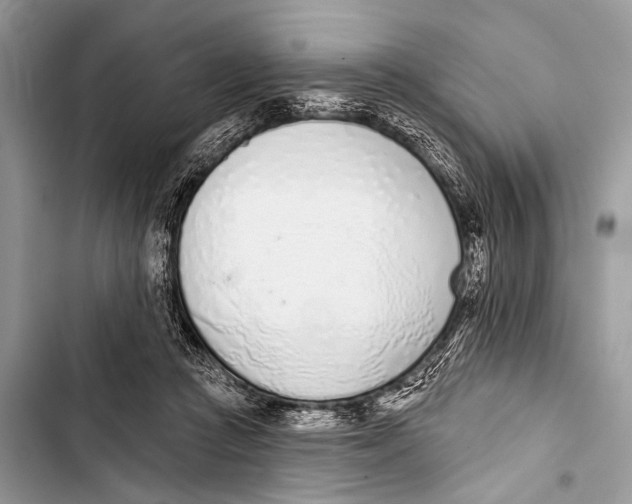 X0000103440361200810031418