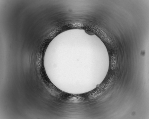 X0000103440364200810031418