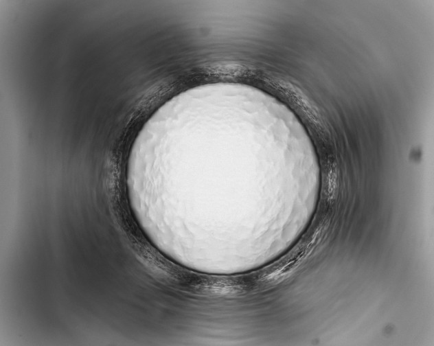 X0000103440365200810031418