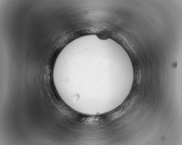 X0000103440366200810031419