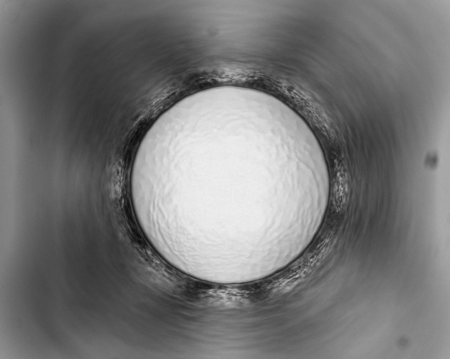 X0000103440367200810031419