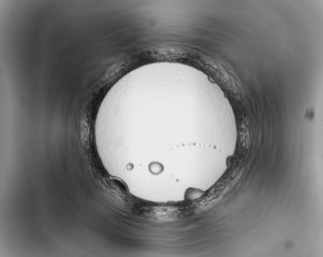 X0000103440371200810031419
