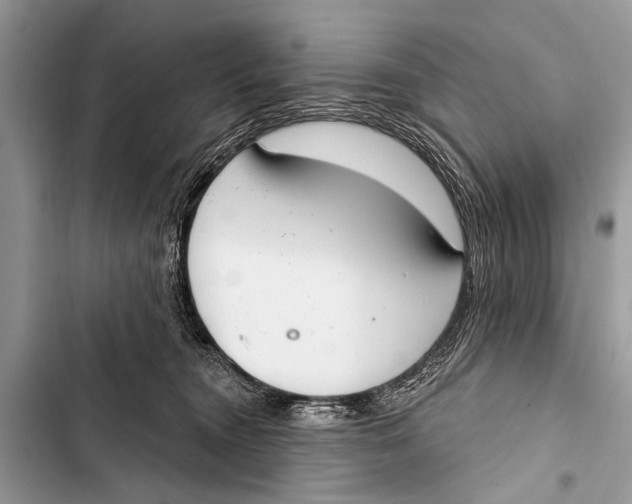 X0000103440372200810031419