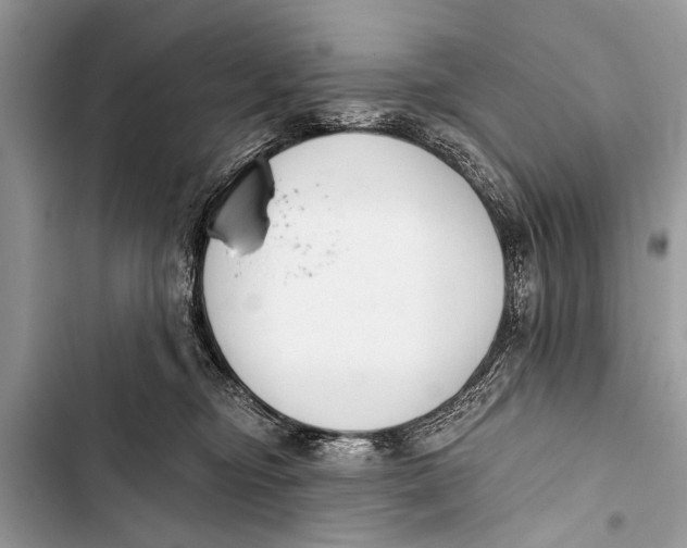 X0000103440374200810031419