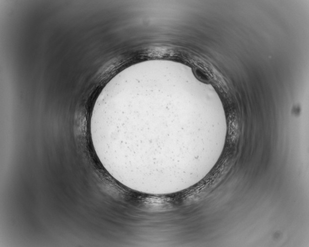 X0000103440375200810031419