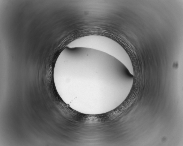 X0000103440376200810031419