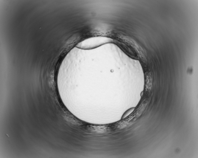 X0000103440377200810031419