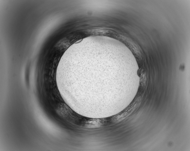 X0000103440381200810031419