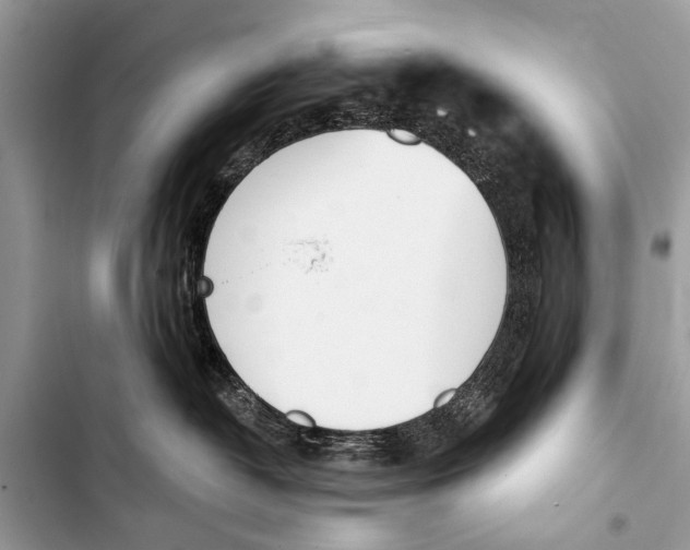 X0000103440382200810031419