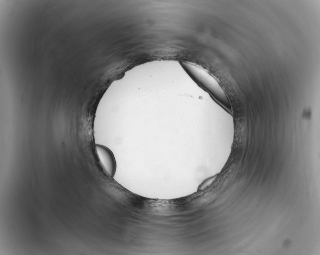 X0000103440383200810031419