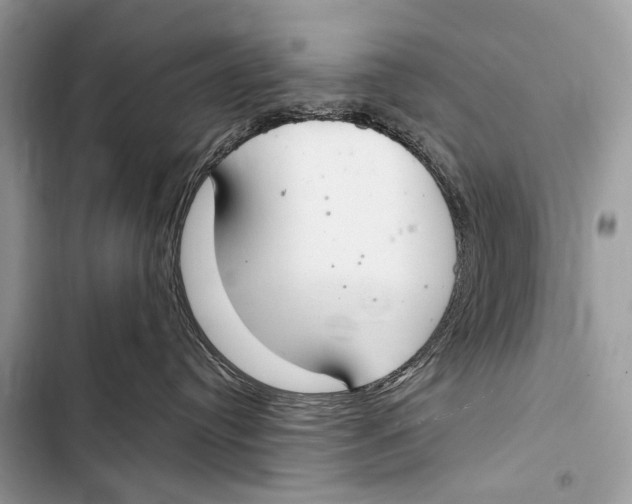 X0000103440384200810031419