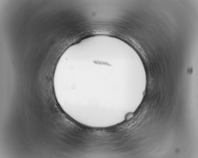 X0000103440385200810031418