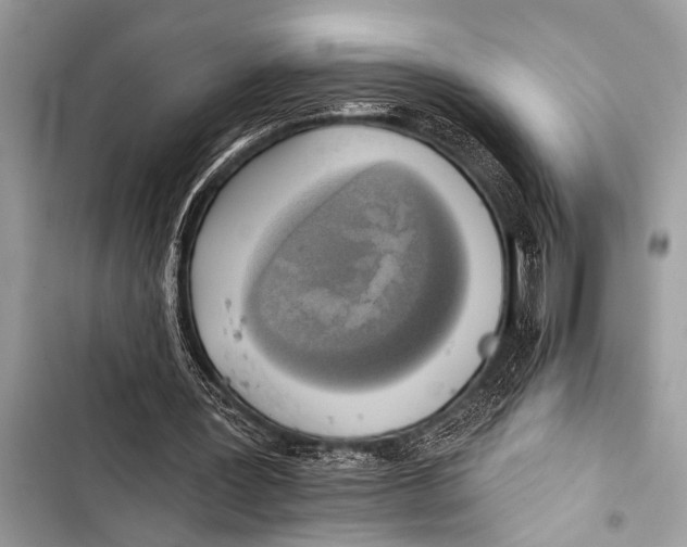 X0000103440387200810031418