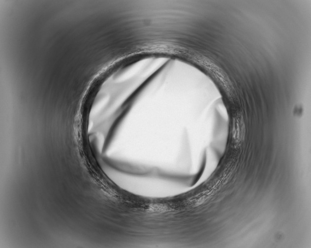 X0000103440388200810031418