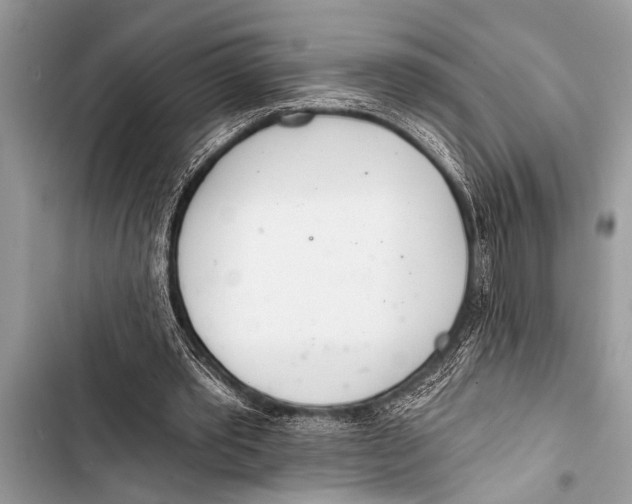 X0000103440389200810031418