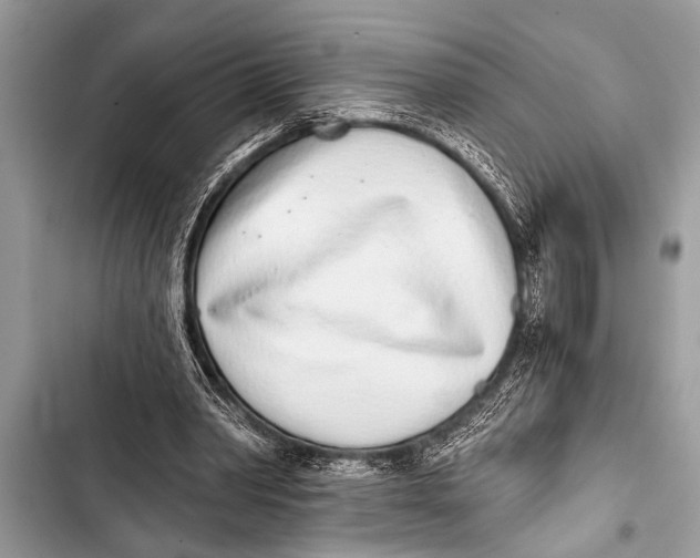 X0000103440390200810031418