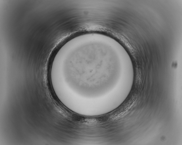 X0000103440391200810031418