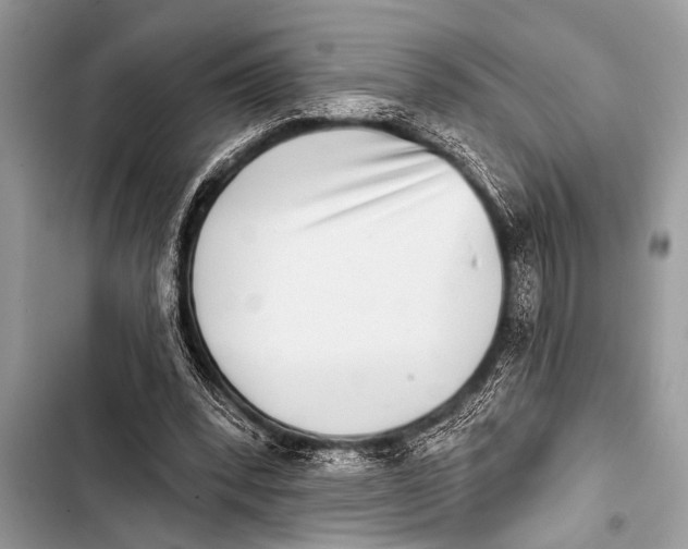 X0000103440392200810031418