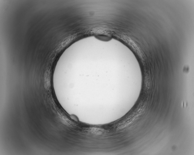 X0000103440393200810031418