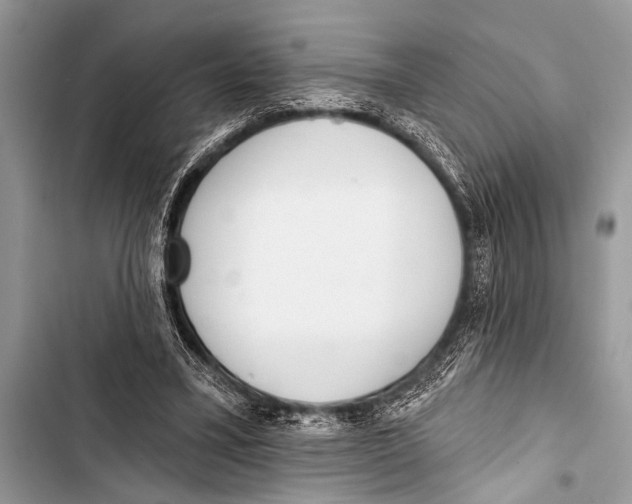 X0000103440395200810031418