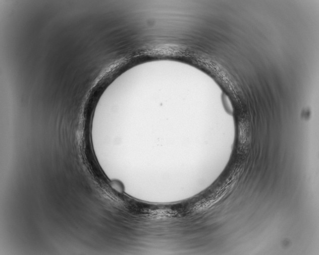 X0000103440396200810031418