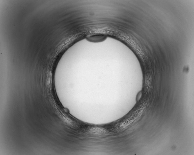 X0000103440397200810031418