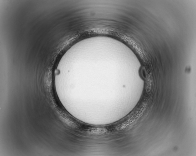 X0000103440398200810031418