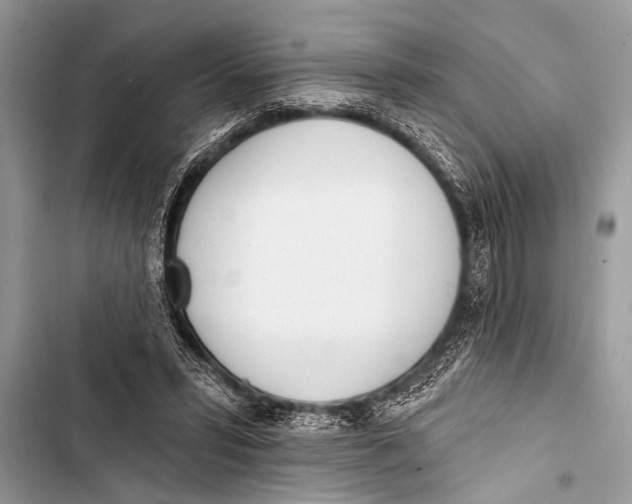X0000103440399200810031418