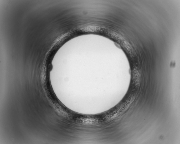 X0000103440400200810031418