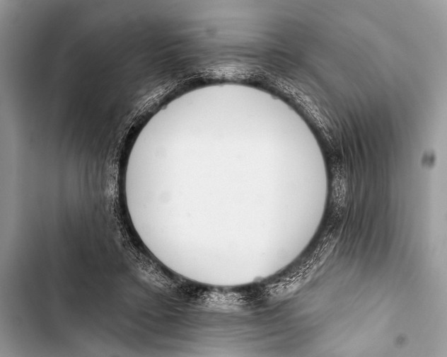 X0000103440403200810031418