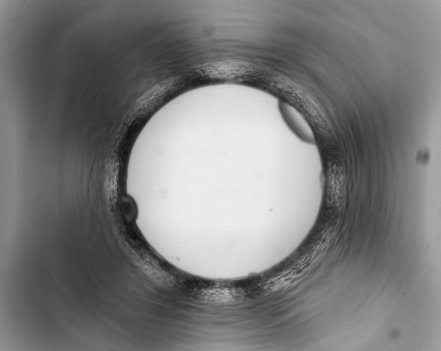 X0000103440404200810031418