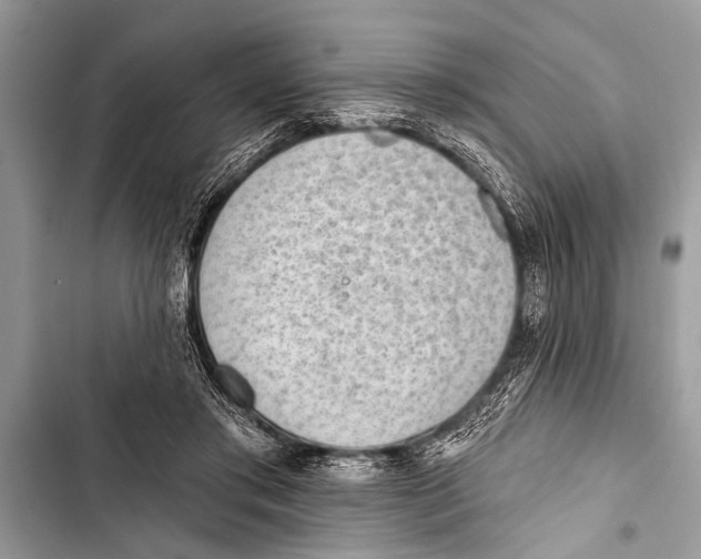 X0000103440405200810031418