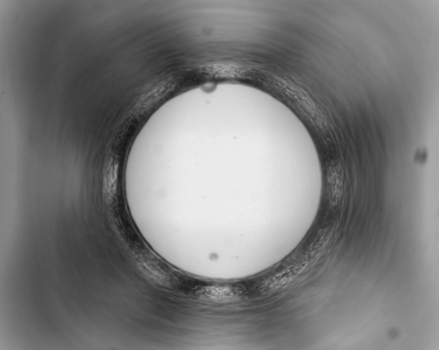 X0000103440406200810031418