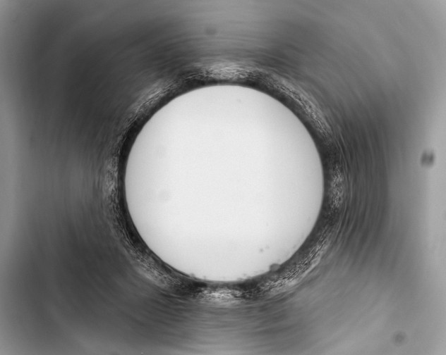 X0000103440407200810031418