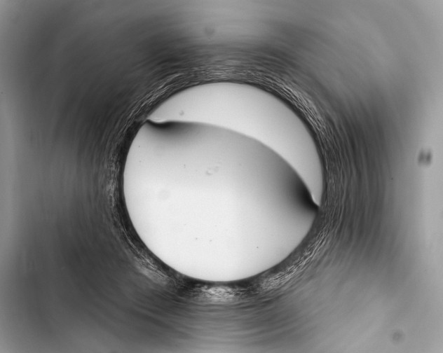 X0000103440409200810031418