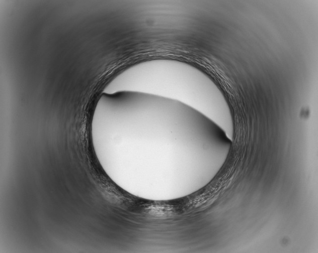 X0000103440415200810031418