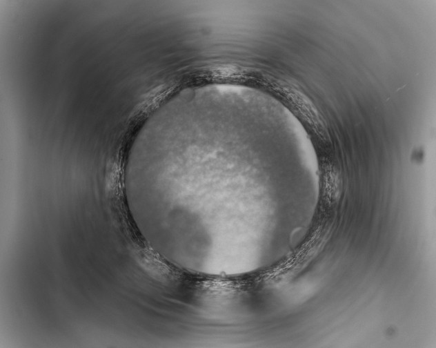 X0000103440419200810031418