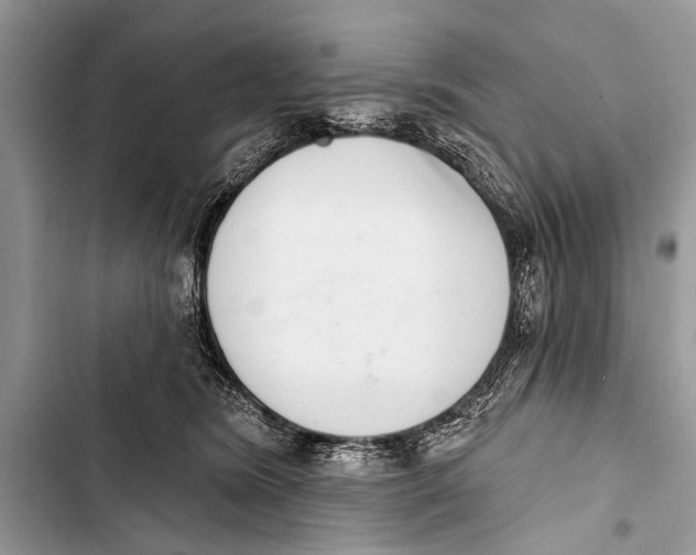X0000103440420200810031418