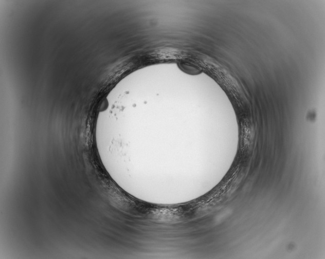 X0000103440422200810031418