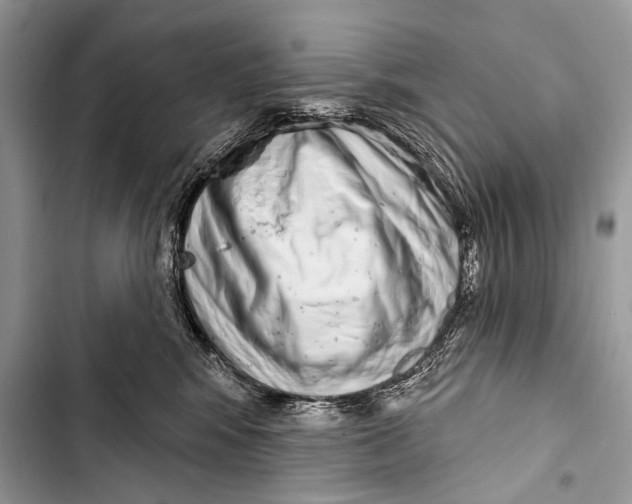 X0000103440424200810031418