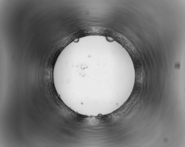 X0000103440425200810031418