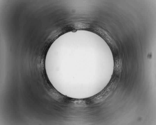 X0000103440426200810031418
