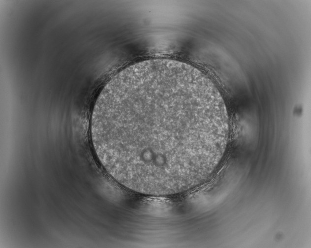X0000103440427200810031418
