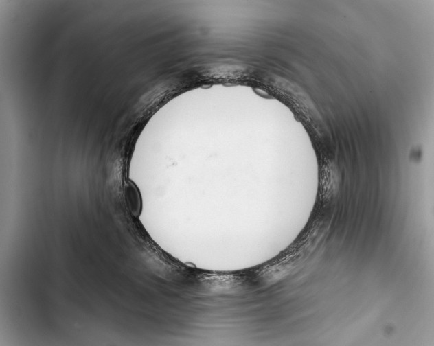 X0000103440428200810031418