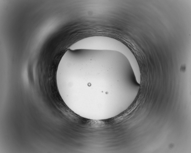 X0000103440429200810031417