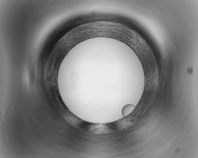 X0000103440431200810031417