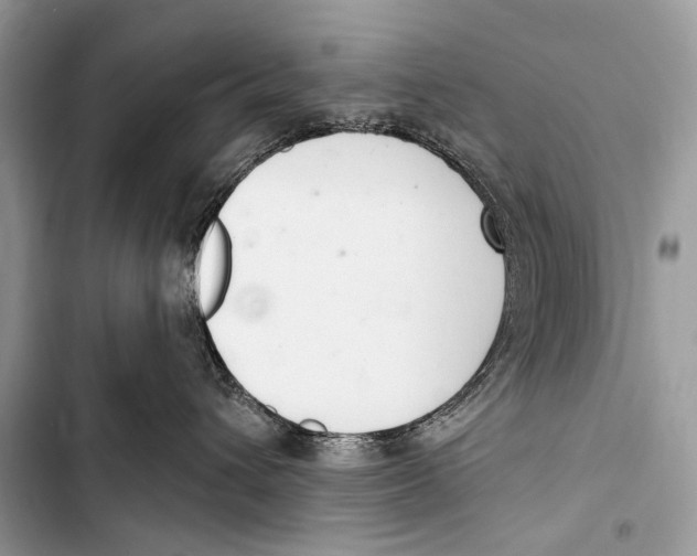 X0000103440432200810031417